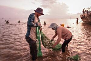 Tiền Giang: Vùng nuôi nghêu huyện Gò Công Đông được chứng nhận đạt tiêu chuẩn quốc tế ASC