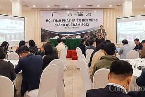Việt Nam là quốc gia xuất khẩu quế đứng đầu thế giới