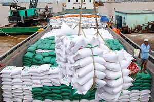 Ấn Độ dự kiến duy trì lệnh cấm xuất khẩu gạo đến năm 2024, đẩy giá gạo toàn cầu tăng cao