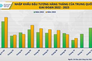 Trung Quốc ồ ạt nhập đậu tương, giá nguyên liệu thức ăn chăn nuôi sẽ tăng mạnh?
