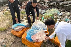 Quảng Ninh: Lực lượng chức năng bắt giữ vụ vận chuyển 160kg nầm lợn đông lạnh nhập lậu