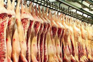 Giá heo trong nước giảm, nhập khẩu thịt heo vẫn tăng có là nghịch lý?