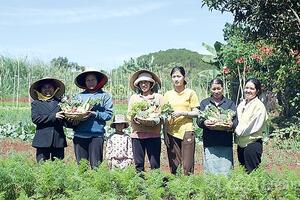 Dự án “Từ trang trại đến bàn ăn”: Tạo đầu ra bền vững cho nông sản đồng bào dân tộc