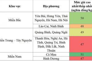 Giá heo hơi hôm nay ngày 11/12/2023: Mức thấp nhất 47.000 đồng/kg