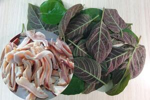 Chữa bệnh đầy hơi, khó tiêu bằng lá mơ lông