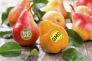 Hà Nội: Quản lý ghi nhãn thực phẩm có chứa thành phần biến đổi gen