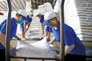 Nhu cầu nhập khẩu tăng cao đẩy giá gạo toàn cầu “nóng” trở lại