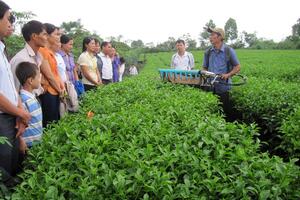 Tuyên Quang: Hỗ trợ đào tạo nghề cho lao động nông thôn