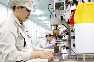 Việt Nam - Ngôi nhà thứ hai của “đại bàng”