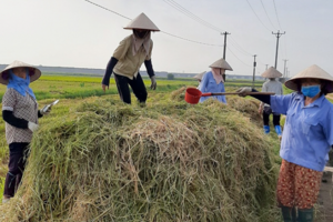 Thúc đẩy kinh tế nông nghiệp xanh