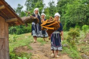 Sản phẩm nghệ thuật được tạo ra từ sáp ong