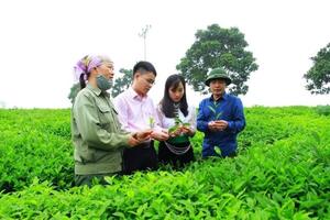 Nguồn vốn ủy thác sang Ngân hàng Chính sách xã hội đã vượt kế hoạch cả năm