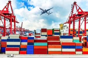 Hai nhóm hàng nhập khẩu tỷ đô trong nửa đầu tháng 1