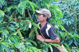 Những dấu chân mở đường - Bài 1: Khép lại cánh cửa nghèo khó