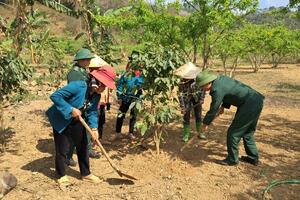 Giúp người dân vùng biên thoát nghèo