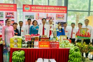 Tam Nông đổi thay, tươi mới