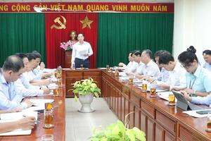 Đồng Nai: Kiểm kê các thửa đất vắng chủ tại cao tốc Biên Hòa - Vũng Tàu