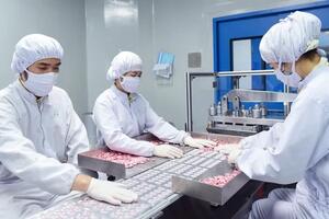 TP Hồ Chí Minh sẽ có khu công nghiệp y - dược tập trung đầu tiên của cả nước