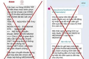 Giả mạo các sàn thương mại điện tử, siêu thị điện máy để lừa đảo chiếm đoạt tài sản