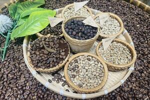 Thị phần cà phê Việt Nam tại Bỉ tăng lên 20,08%
