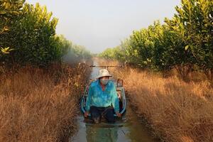 Đồng bằng sông Cửu Long kịp thời ứng phó với hạn, mặn