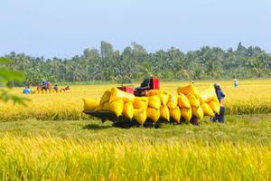 Cơ hội thúc đẩy sản xuất nông nghiệp lớn từ Luật Đất đai 2024