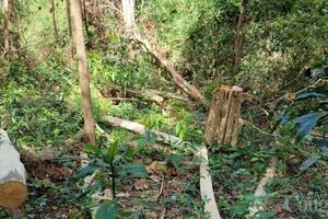 Việt Nam nhận được khoản thanh toán 51,5 triệu USD từ Quỹ FCPE