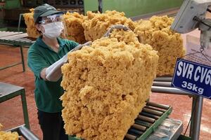 Hàn Quốc là thị trường xuất khẩu cao su lớn thứ 3 của Việt Nam