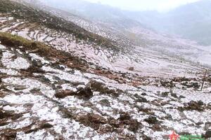 Hà Giang: Mưa đá gây nhiều thiệt hại nhiều nhà cửa, hoa màu của người dân