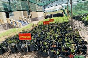 Thư về tòa soạn: “Vườn ươm thanh niên”