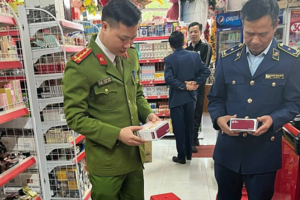 Bắc Giang: Xử lý 165 vụ vi phạm, nộp ngân sách 1,7 tỷ đồng