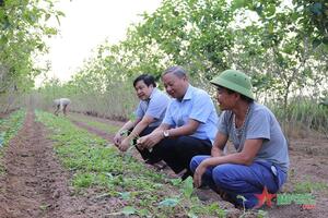 Khi lòng dân đã thuận