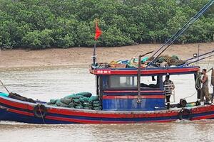 Thanh Hóa: Xác minh tình trạng khai thác tận diệt thủy sản theo phản ánh của Báo Công Thương