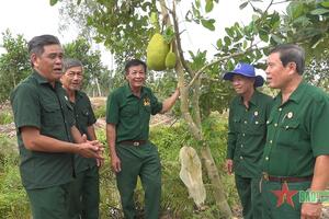 Thư về tòa soạn: Chăn nuôi, trồng trọt giúp nhiều cựu chiến binh thoát nghèo