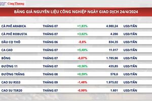 Giá cà phê Robusta tiếp tục gây sốc, giá cà phê trong nước có thể đạt 150.000 đồng/kg