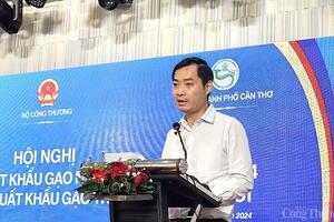 Châu Á - châu Phi tiếp tục là thị trường quan trọng của xuất khẩu gạo Việt Nam