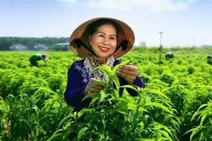 Bà Năm Trà khởi nghiệp ở tuổi 60