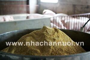 Giá thức ăn chăn nuôi đồng loạt giảm