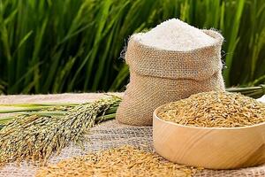 Giá lúa gạo hôm nay (23-5): Ổn định trên cả nước