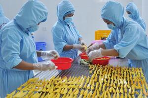 Tận dụng tốt hơn nữa ưu đãi từ các FTA để đẩy mạnh xuất khẩu gạo, rau quả