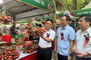 Vải trứng Hưng Yên giá cao nhưng vẫn đắt hàng