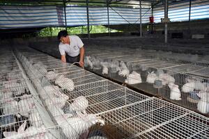 Ngăn chặn nguy cơ kháng kháng sinh trong nông nghiệp