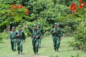 Quyết liệt đấu tranh với tội phạm ma túy trên tuyến biên giới