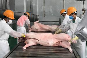 Xuất khẩu thịt và sản phẩm thịt tăng tháng thứ 3 liên tiếp