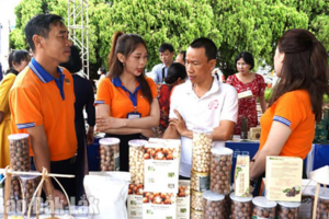 Phát triển hệ sinh thái khởi nghiệp đổi mới sáng tạo theo chiều sâu