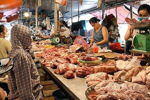 Dự báo nào cho giá heo hơi tháng 8?