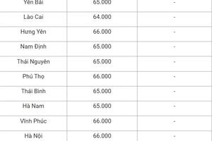 Giá heo hơi hôm nay ngày 13/8/2024: Đi ngang ở nhiều nơi, cao nhất 66.000 đồng/kg