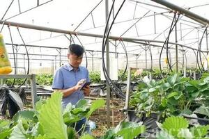 Lào Cai: Chuyển đổi giúp từ 'sản xuất nông nghiệp' sang 'kinh tế nông nghiệp'