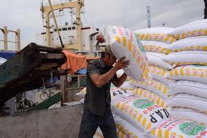 Việt Nam nhập khẩu 1,25 triệu tấn phân bón từ thị trường Trung Quốc