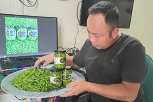 Khát khao đưa sản phẩm ớt rừng mang thương hiệu ''quê'' tới cộng đồng